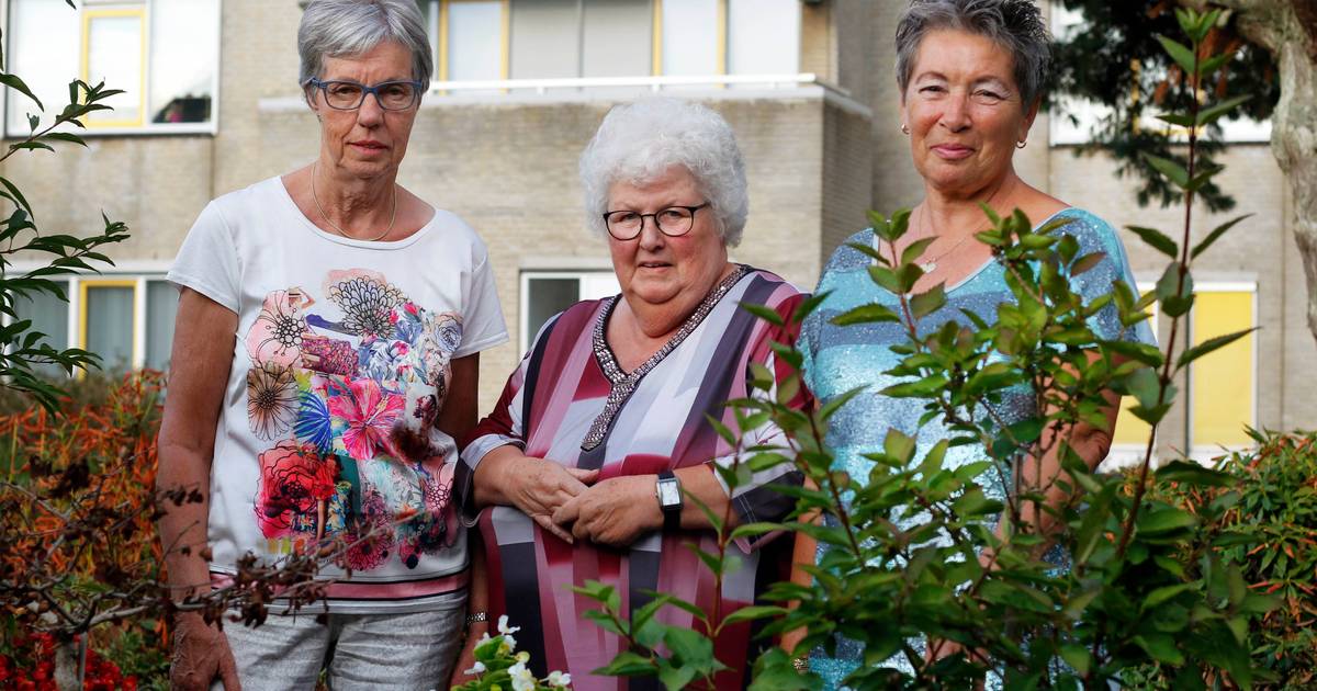Aangesloten mamacafés