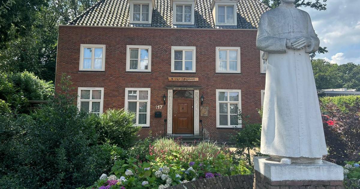 Oude pastorie staat na twaalf jaar weer te koop, koper moet wel flink in de buidel tasten
