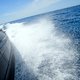 Waddenvereniging wil verbod speedbootraces