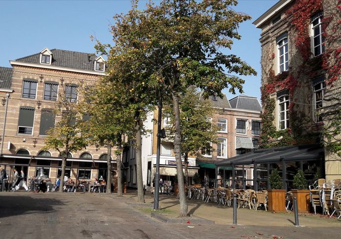 De bomen op de Groenmarkt in Gorinchem moeten weg. Archeologen gaan dan zoeken naar skeletten op deze locatie.