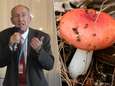 Bekende Russische raketwetenschapper sterft na eten giftige paddenstoelen