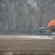 Bezorgde Drenten zijn het bollengif beu en verlangen actie van de overheid. ‘Er ligt echt een deken van gif over Nederland’