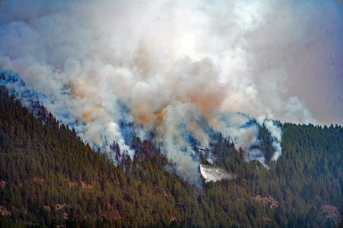 Agenzia portuale nazionale / Agenzia per la protezione ambientale