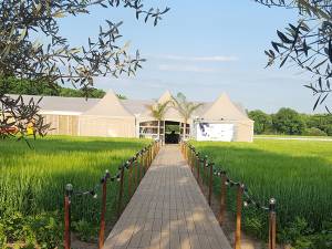 Tekort aan personeel én materiaal; 4500 gasten ‘Asperges in het veld’ afgebeld