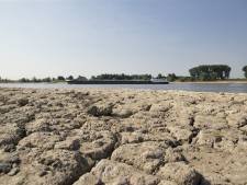 Watertekort: wat gaan we daar in Brabant van merken?