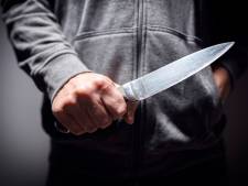 Arnhemmer (24) wil geen tbs voor bedreigen boa’s op station met mes: ‘Ik verdien nog één kans’