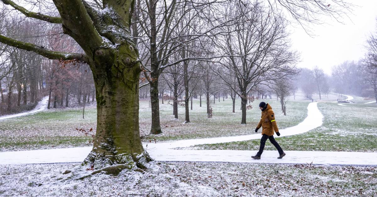 Snow showers expected on Monday, locally it may turn white Pledge Times