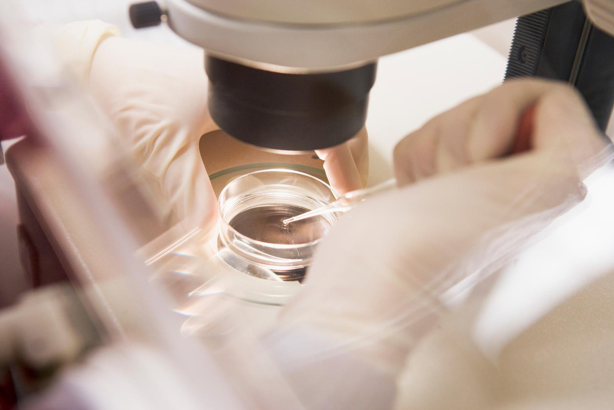 Een embryoloog brengt een eicel over naar een petrischaaltje. Beeld thinkstock