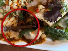 Schrikken in de lunchroom: Bernadet hoort ‘raar geluid’ bij het eten van haar wrap