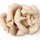 Zaadcellen uit uw huid of een baby uit de kweekzak? Onze voortplanting gaat radicaal veranderen