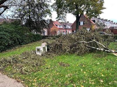 Carnavalsmonument in Oud Gastel tegen de vlakte na storm