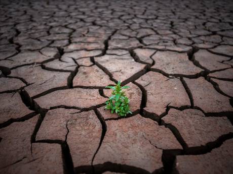La période 2023-2027 sans doute la plus chaude jamais enregistrée sur Terre