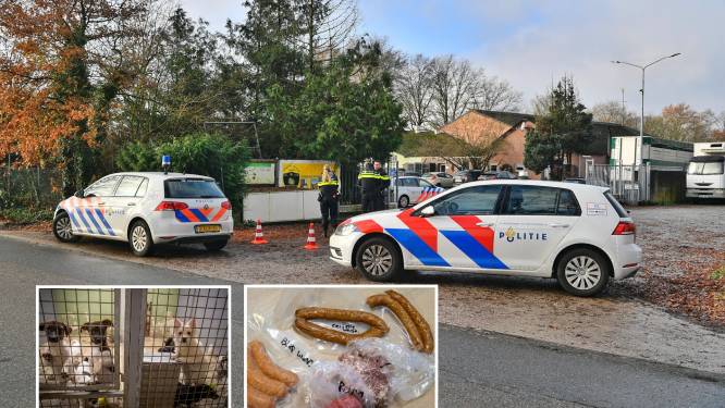 Bedorven vlees, illegale puppyfabriek en aanranding: Jan P. heeft ‘overal schijt aan’