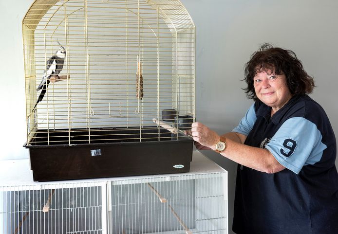Voorzitter Mechtild Stavenuiter van de Stichting Dierenhulpverlening Woerden e. o.
