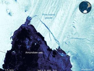 Opnieuw breekt grote ijsberg af van Antarctica