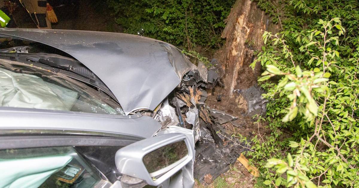 Taxichauffeur raakt lichtgewond door botsing tegen boom in Zetten.