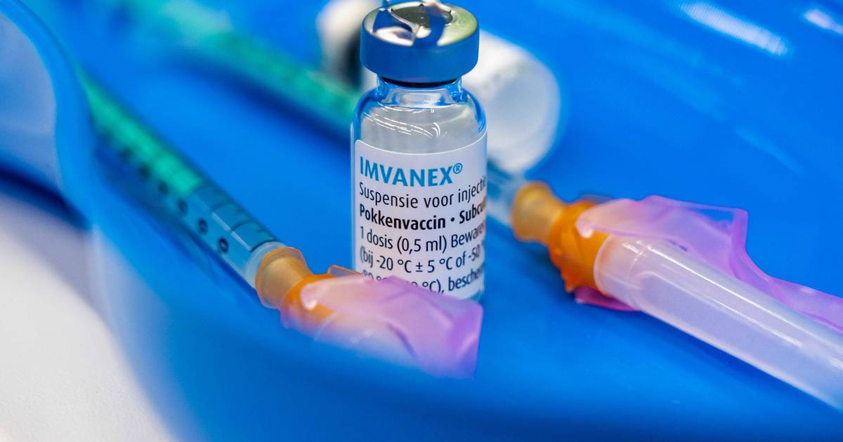 В Брабанте проведено 900 прививок от обезьяньей оспы |  Масленд