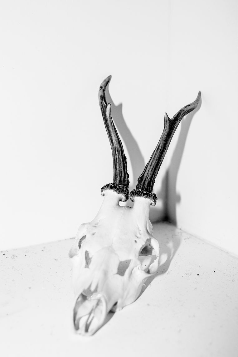 Shrinky Recipe (2019), uit de serie On Rape Beeld Laia Abril & Galerie Les Filles du Calvaire.