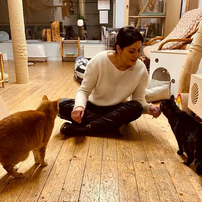 Senaatsvoorzitter verkoopt pannenkoeken ten voordele van het kattencafé