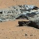 Curiosity vindt grote ijzermeteoriet op Mars