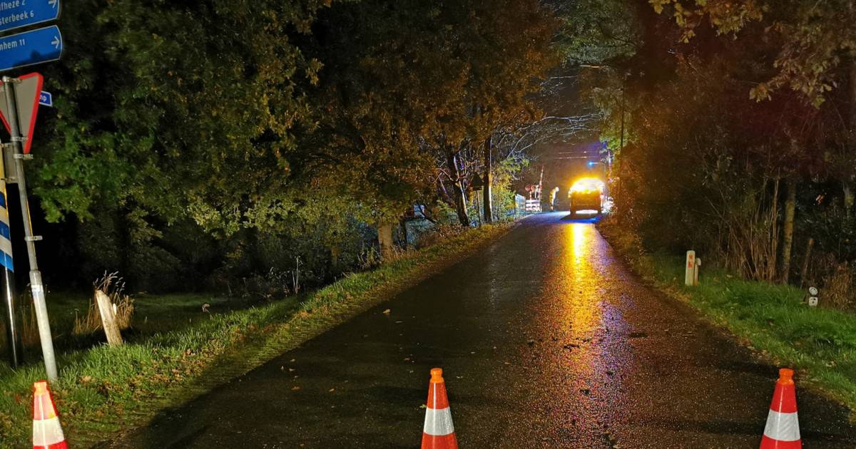 Treinverkeer ligt stil tussen Ede-Wageningen en Arnhem door aanrijding.