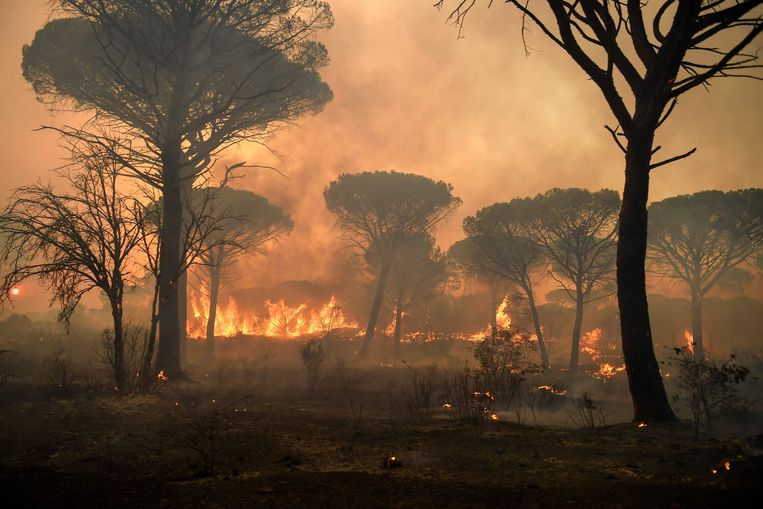 Immense bosbrand nabij Saint-Tropez eist eerste dodelijk ...