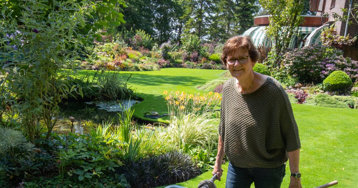 Zout en roestig polderwater, daar houden de planten in Espel niet van