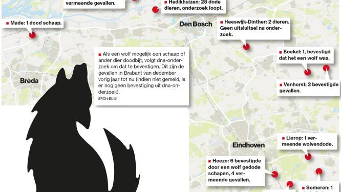 Wolf in Brabant: ‘Boeren moeten maatregelen nemen’