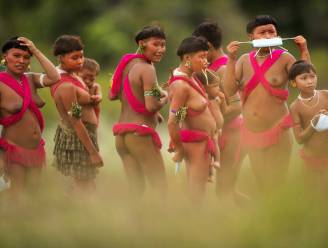 Brazilië beperkt erkenning leefgebieden inheemse bevolking: “Dit is genocide en een aanval op het milieu”