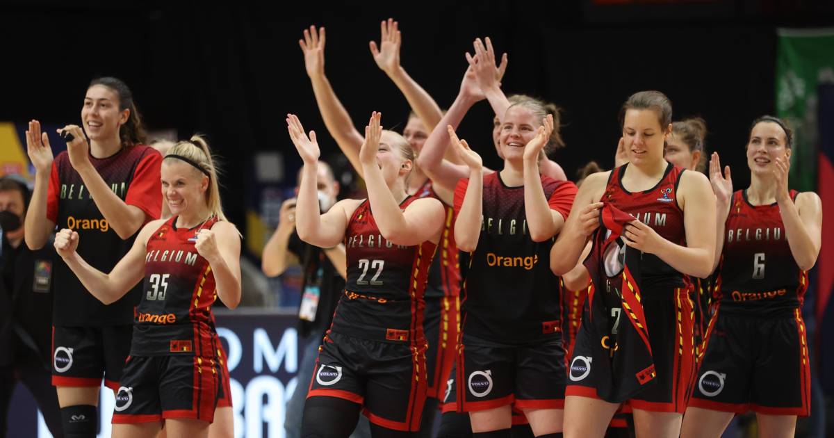Belgian cats olympische spelen wedstrijden