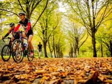 Mountainbikers in te grote groepen bekeurd voor negeren coronaregels op Utrechtse Heuvelrug