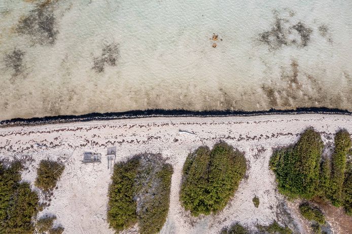 Een foto van de stranden van Bonaire, aangeleverd door natuurorganisatie WWF.