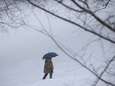 New York et la côte sont paralysés par la neige