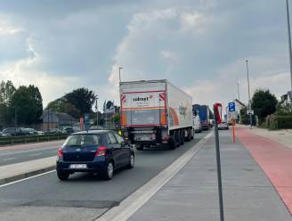 Verkeer probeert via Gentsesteenweg megafile op E40 te omzeilen: “Dat belooft voor de start van de schoolperiode”
