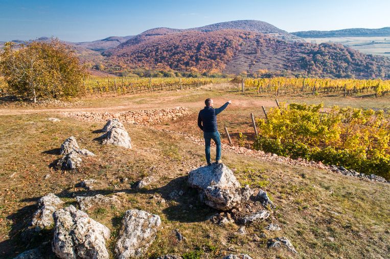 Aromen im Wein, wie lernt man sie zu erkennen