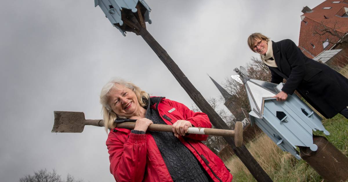 Ria (69) en Trudie (68) grepen corona aan om een duiventil te maken