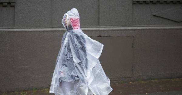 Onstuimige wind dreigt carnavalsoptochten te verstieren | Carnaval 2020 - De Gelderlander