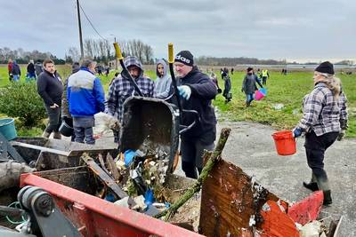 200 vrijwilligers helpen puin ruimen na windhoos: “Deze steun is hartverwarmend”