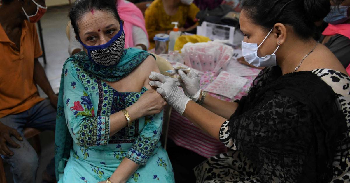 Migliaia di indiani sono vittime di falsi vaccini |  casa, casa