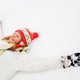 Wintersportvakantie met wellness in Zuid-Tirol
