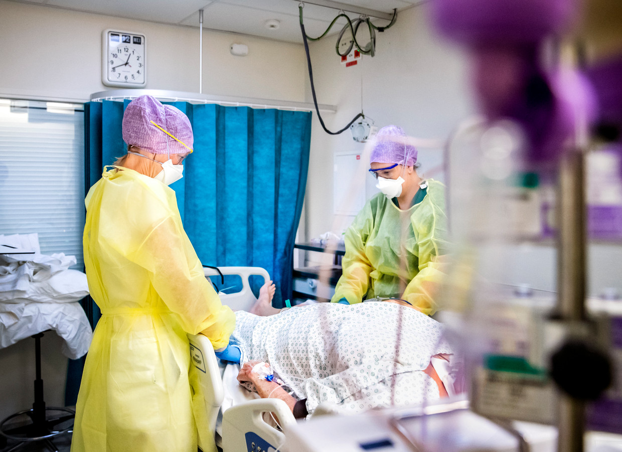 Personeel van HMC Westeinde in Den Haag verzorgt een patiënt op de intensive care. Beeld ANP