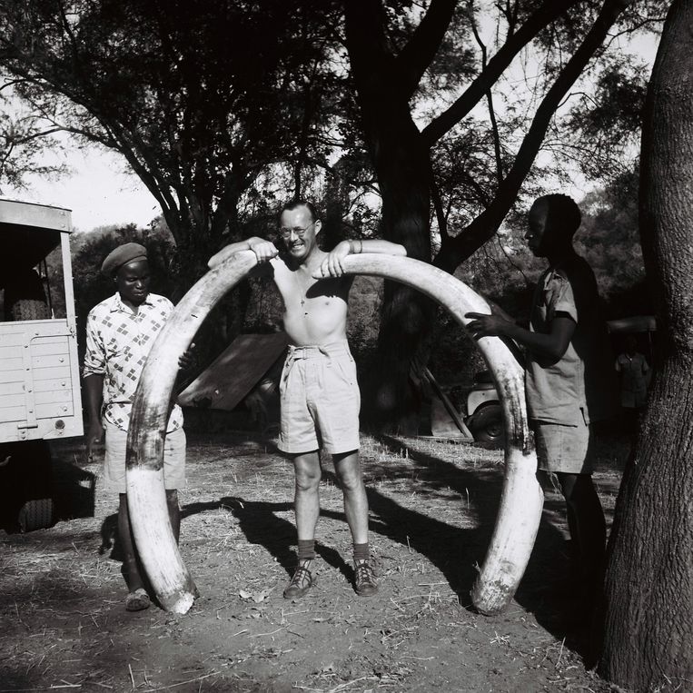 Unieke jachtfoto's van prins Bernhard op safari | De Volkskrant