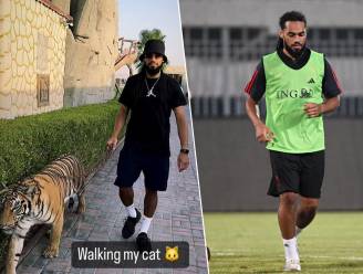 KIJK. “Walking my cat”: Rode Duivel Jason Denayer maakt in Dubai opvallend tochtje met tijger 