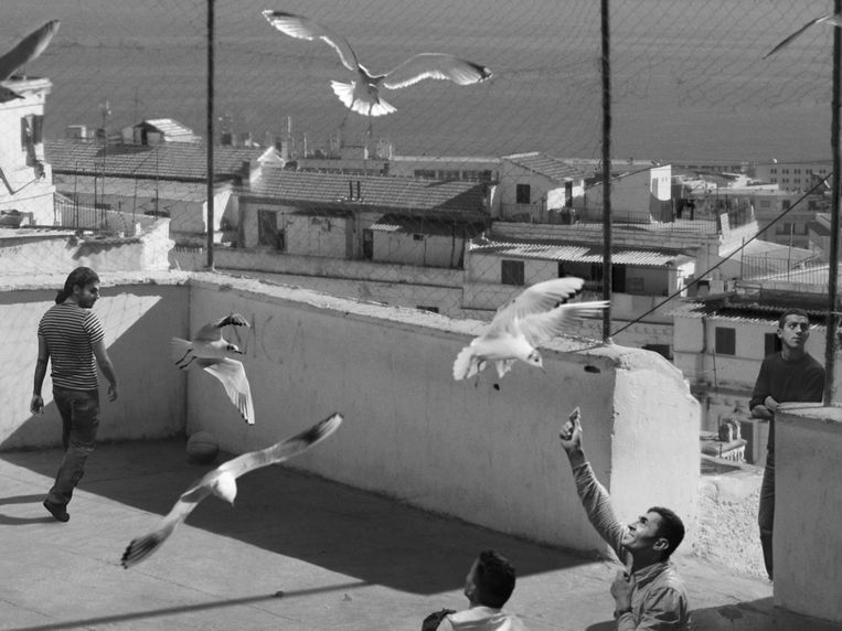 David Claerbout, The Algiers' Sections of a Happy Moment. Te zien in de expo The Still Point of the Turning World.  Beeld VG Bild-Kunst, Bonn, 2017, courtesy de kunstenaar en galeries Esther Schipper, Berlijn en Sean Kelly, New York