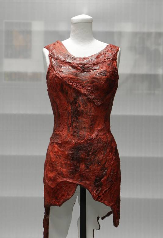 Lady gaga robe de viande best sale
