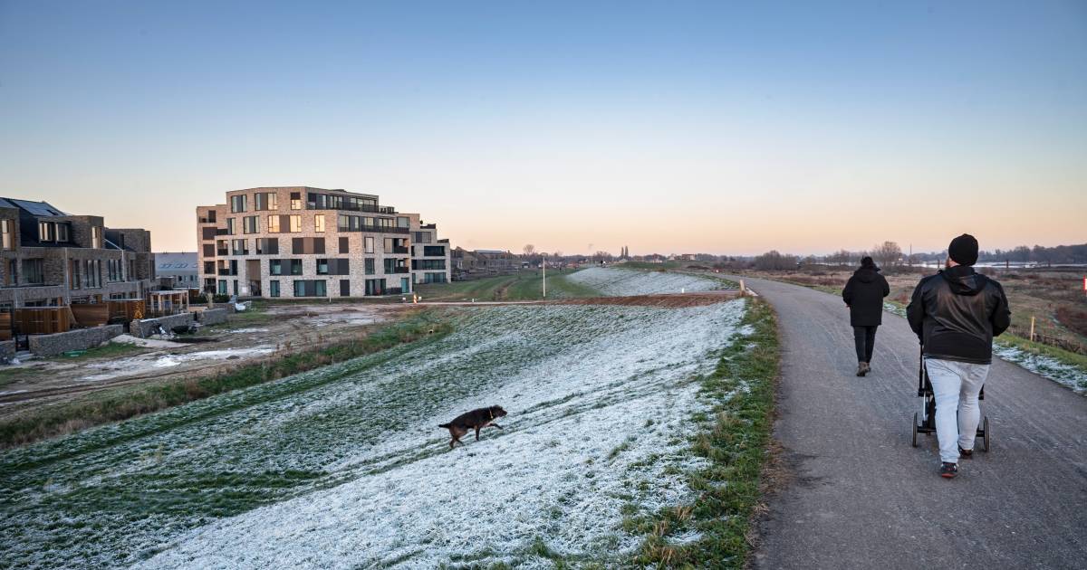 Maken inwoners zich over wolf in Lent? ‘Als mijn kinderen buiten gaan spelen, vind ik dat