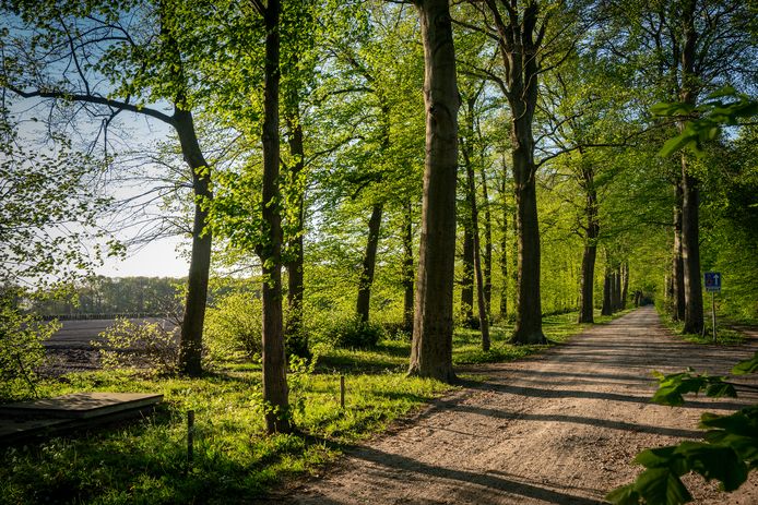 Aan beide zijden van de oprijlaan naar het voormalige Land van Ooit komt bebouwing. Beide percelen zijn nu agrarische grond.