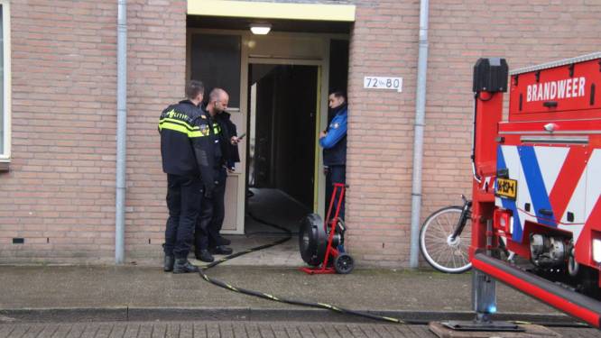 Brand in Zwolle: katten gered terwijl baasje met de hond liep