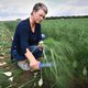 Akkerbouwers boos over maatregelen om waterkwaliteit te verbeteren: ‘De natuur laat zich niet leiden’