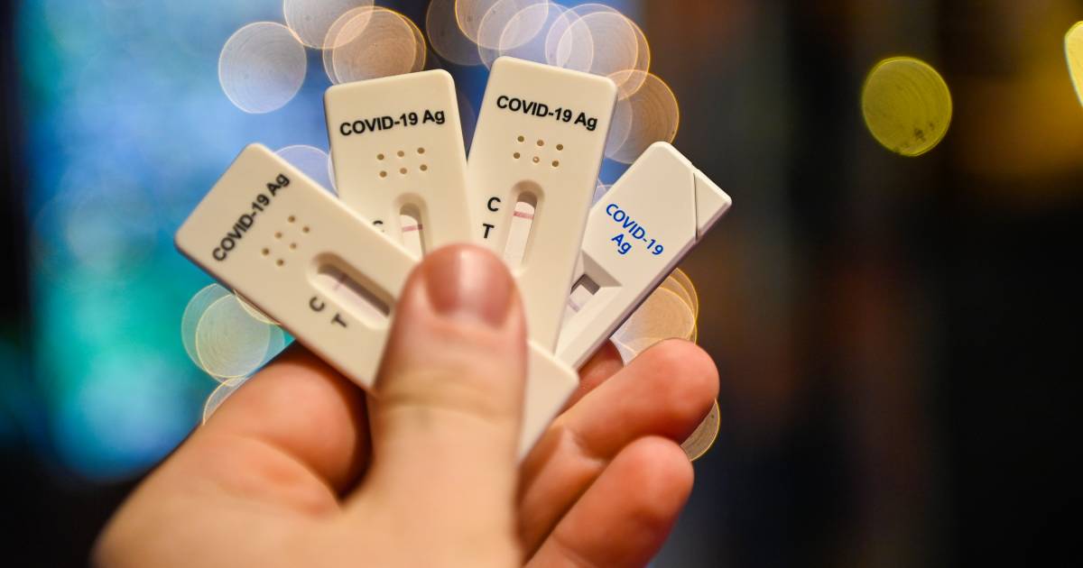 Cane da guardia USA sui medicinali: test rapidi meno accurati in Omicron |  Corona virus quello che c’è da sapere